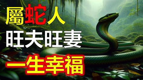 屬蛇個性|【屬蛇 個性】屬蛇個性：2024年歲數大公開！性格剖析與運勢預。